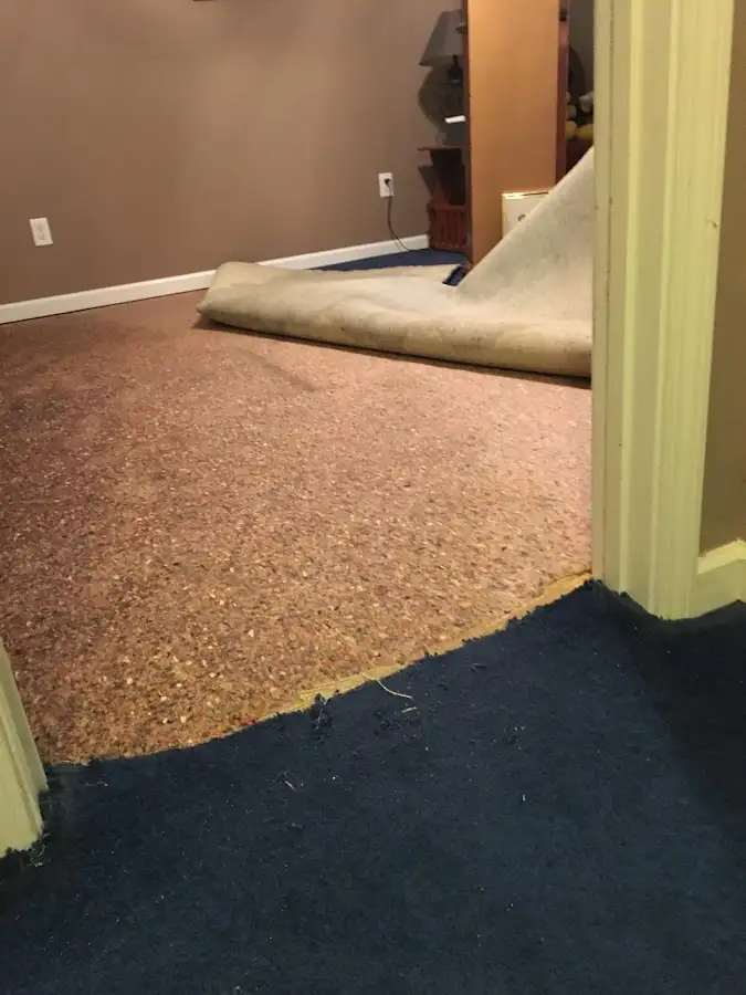 Carpet pad removal revealing water damage during Drying & Dehumidification in Golden Valley