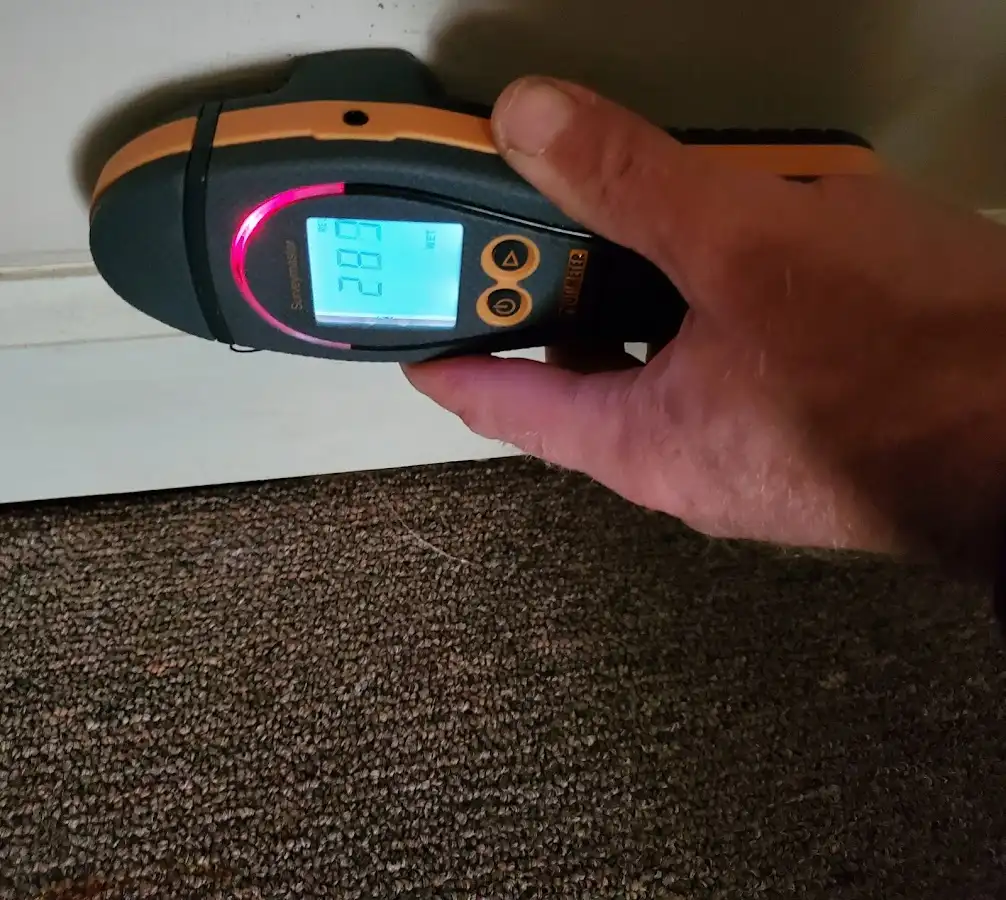 Moisture detection at baseboard during Sewage Cleanup & Sanitation in Golden Valley
